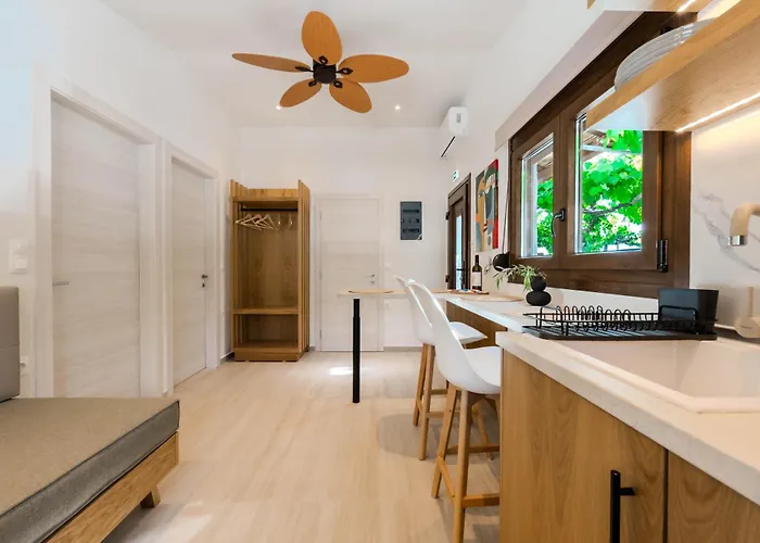 公寓 Aigialos 萨索斯